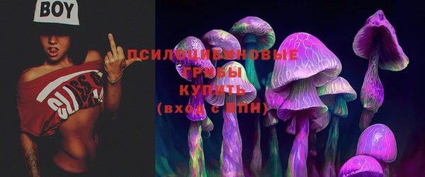 apvp Володарск