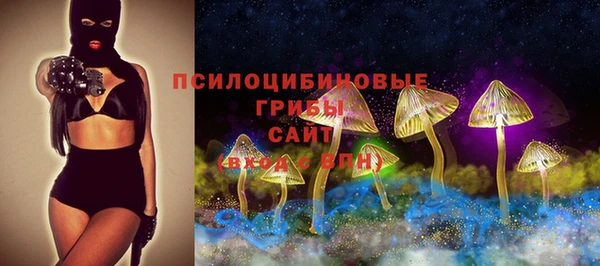 скорость Вяземский